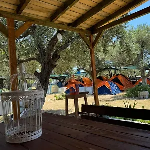 camping-olive-trees.albaniahotels.org/